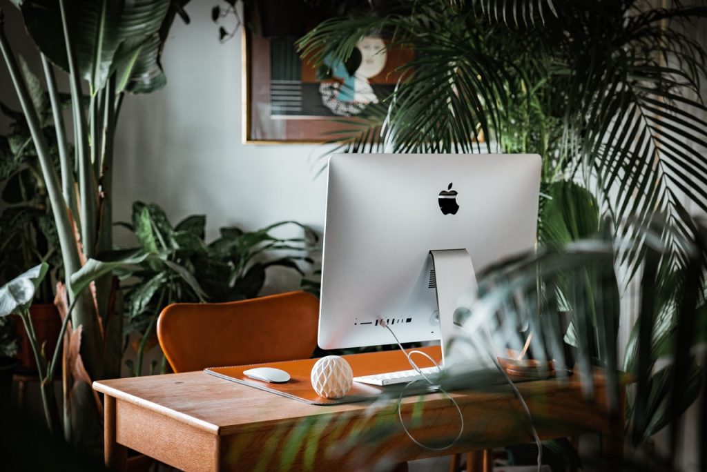 An apple computer on a desk in front of a plant.